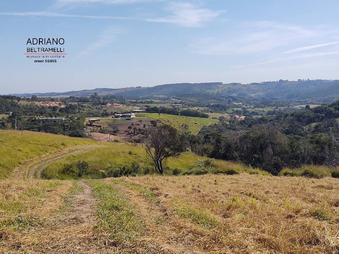 Terreno, 4 hectares - Foto 4