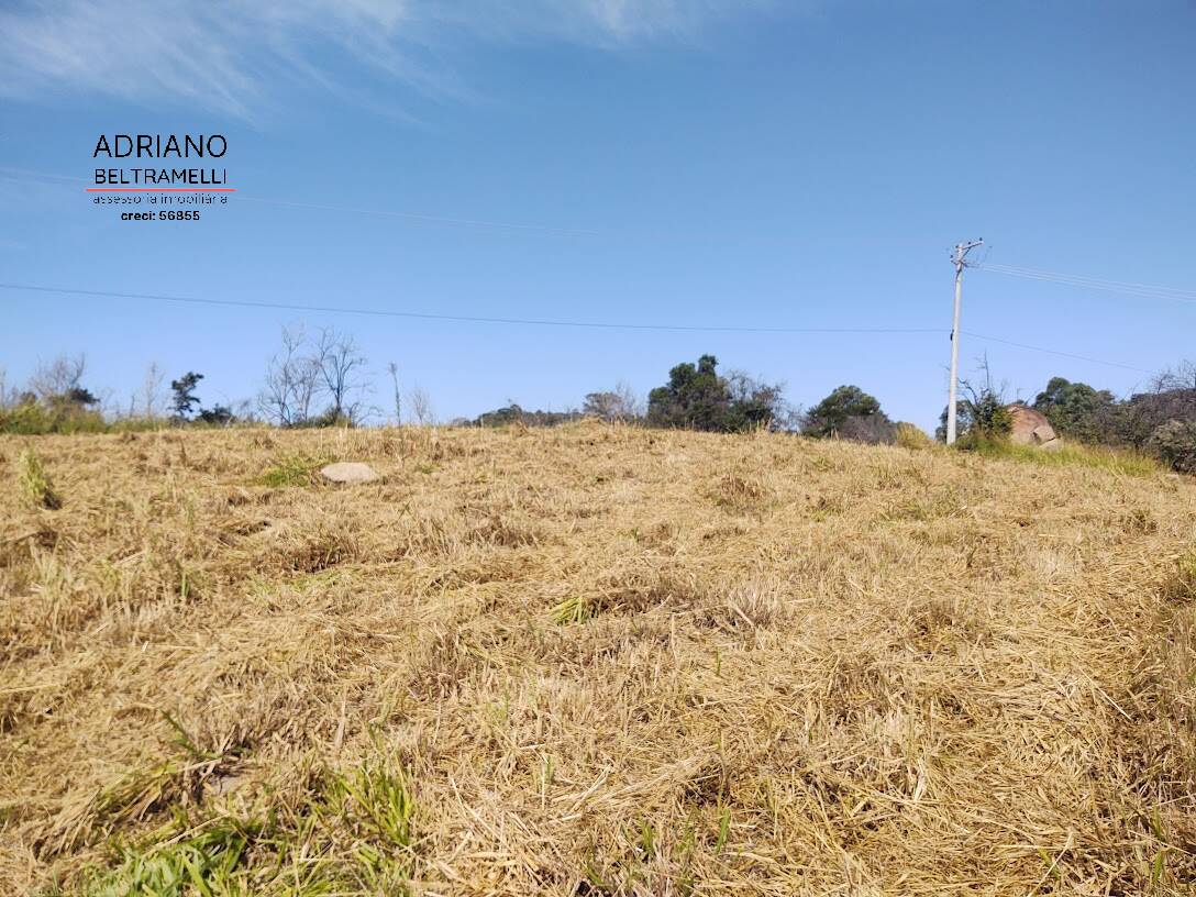 Terreno, 4 hectares - Foto 6