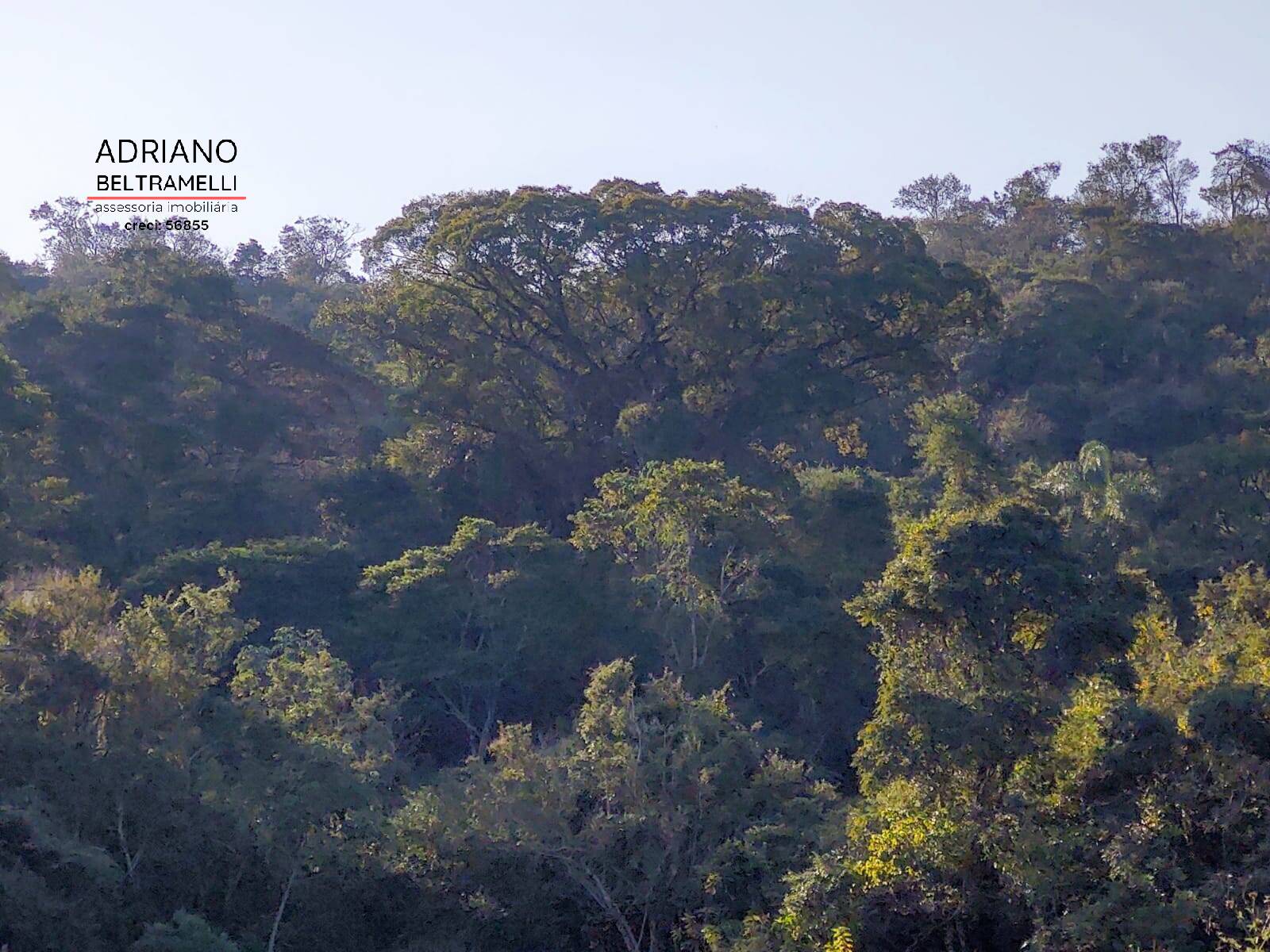 Terreno, 54 hectares - Foto 1