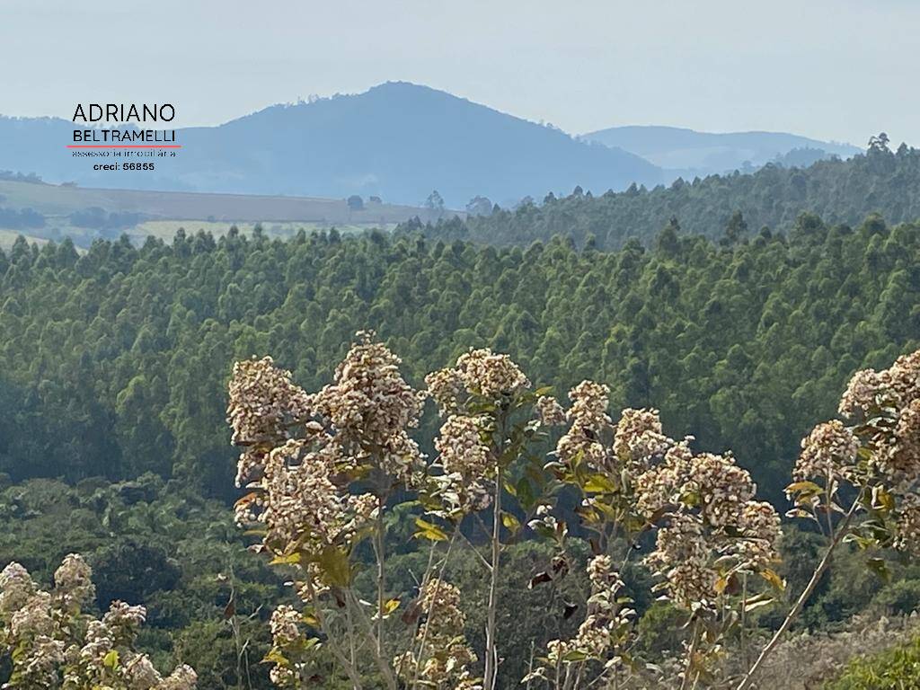 Sítio à venda com 2 quartos, 266200m² - Foto 4