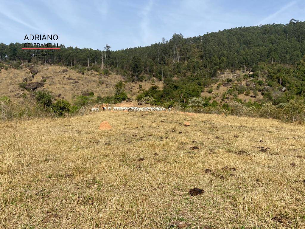 Sítio à venda com 2 quartos, 266200m² - Foto 5