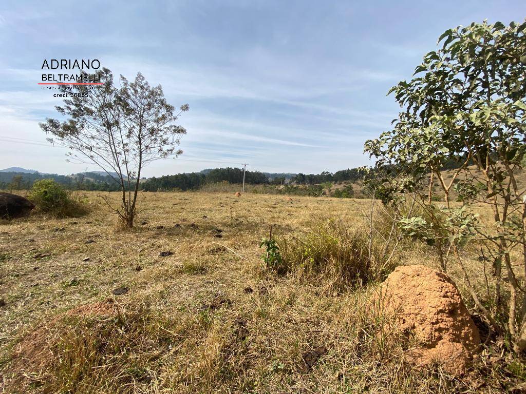Sítio à venda com 2 quartos, 266200m² - Foto 6
