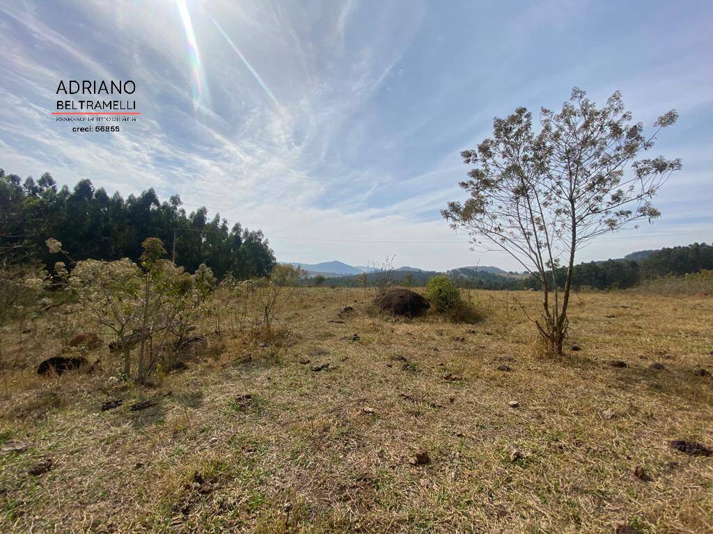 Sítio à venda com 2 quartos, 266200m² - Foto 7