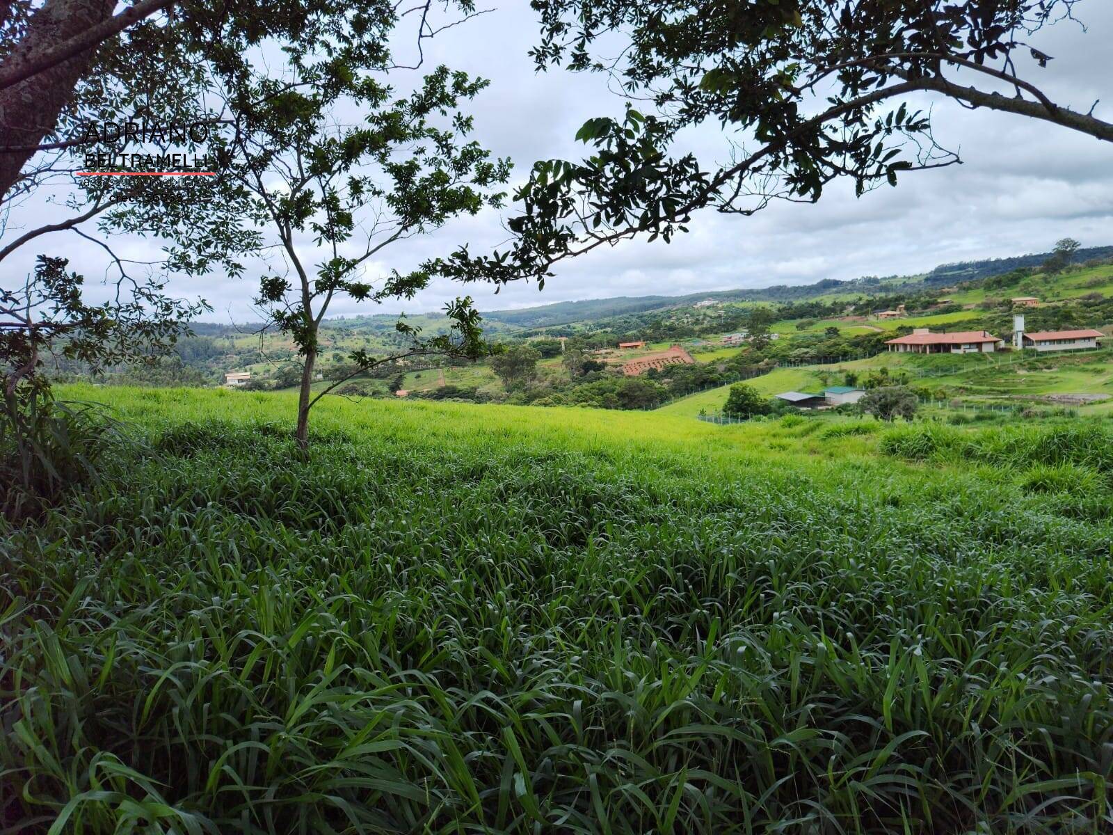 Terreno, 2 hectares - Foto 3