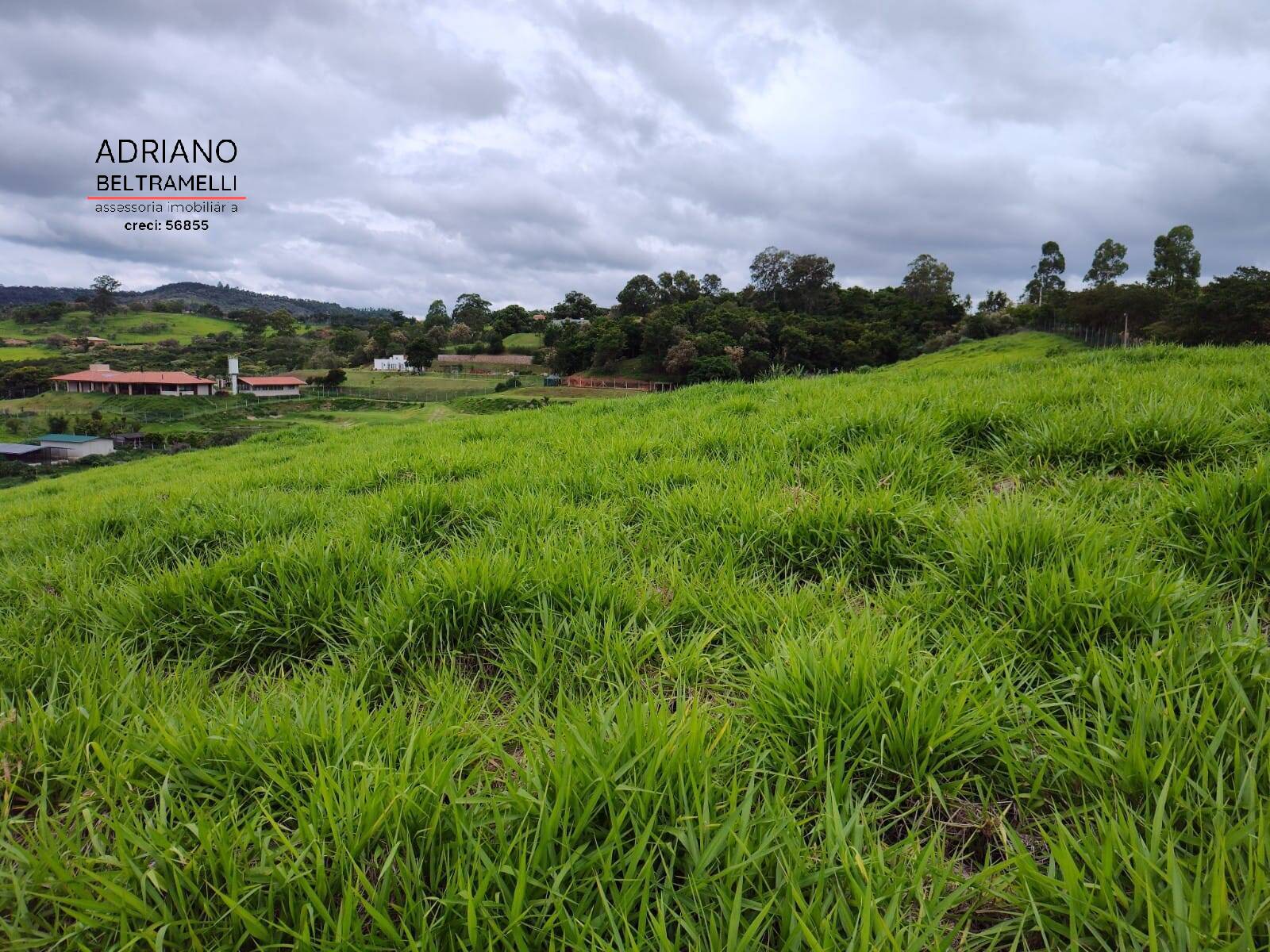 Terreno, 2 hectares - Foto 7