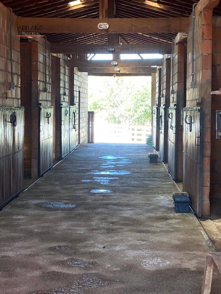 Sítio, 7 quartos, 1000 m² - Foto 3