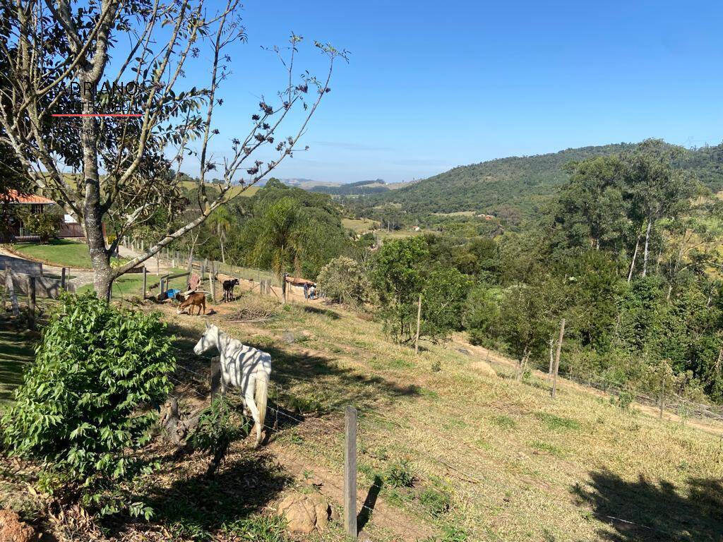 Sítio, 7 quartos, 1000 m² - Foto 42