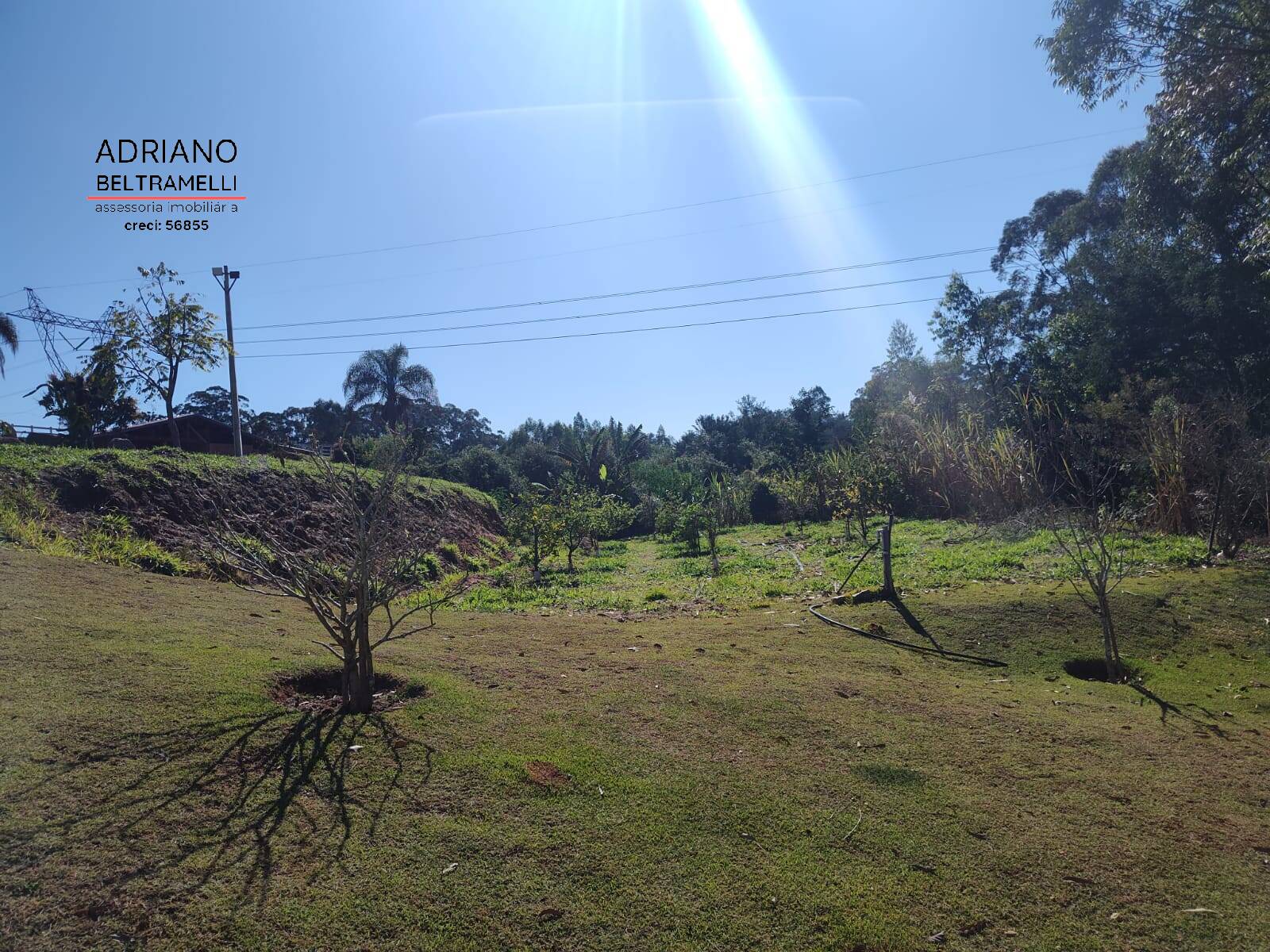 Sítio, 7 quartos, 1000 m² - Foto 48