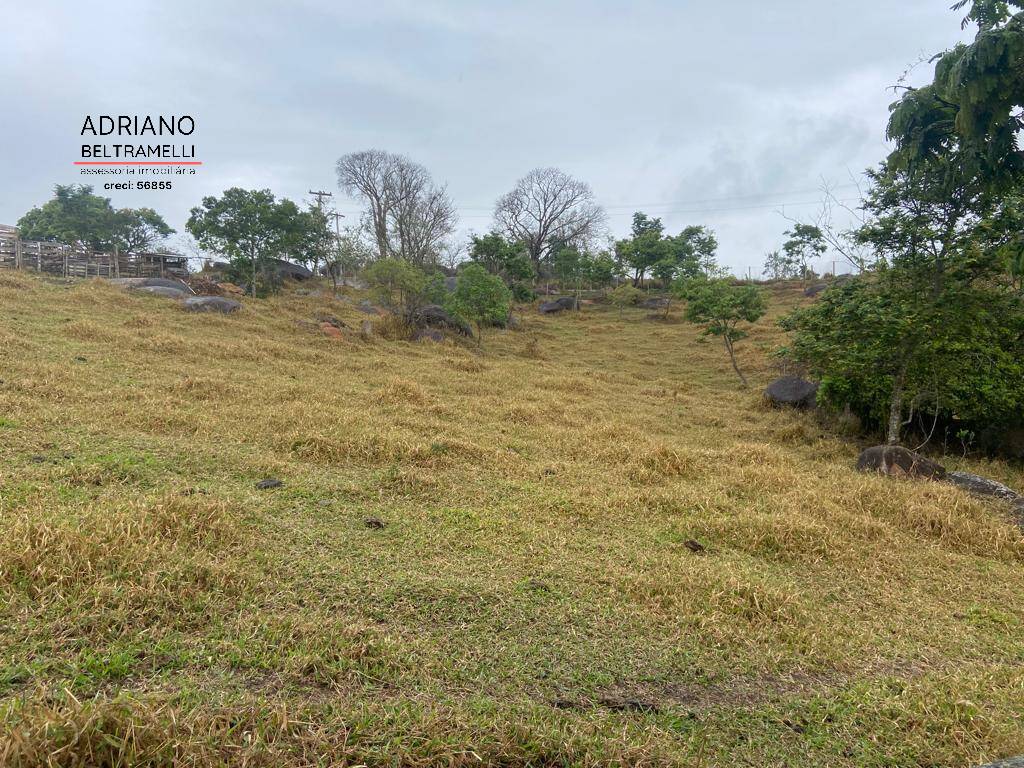 Terreno, 2 hectares - Foto 9