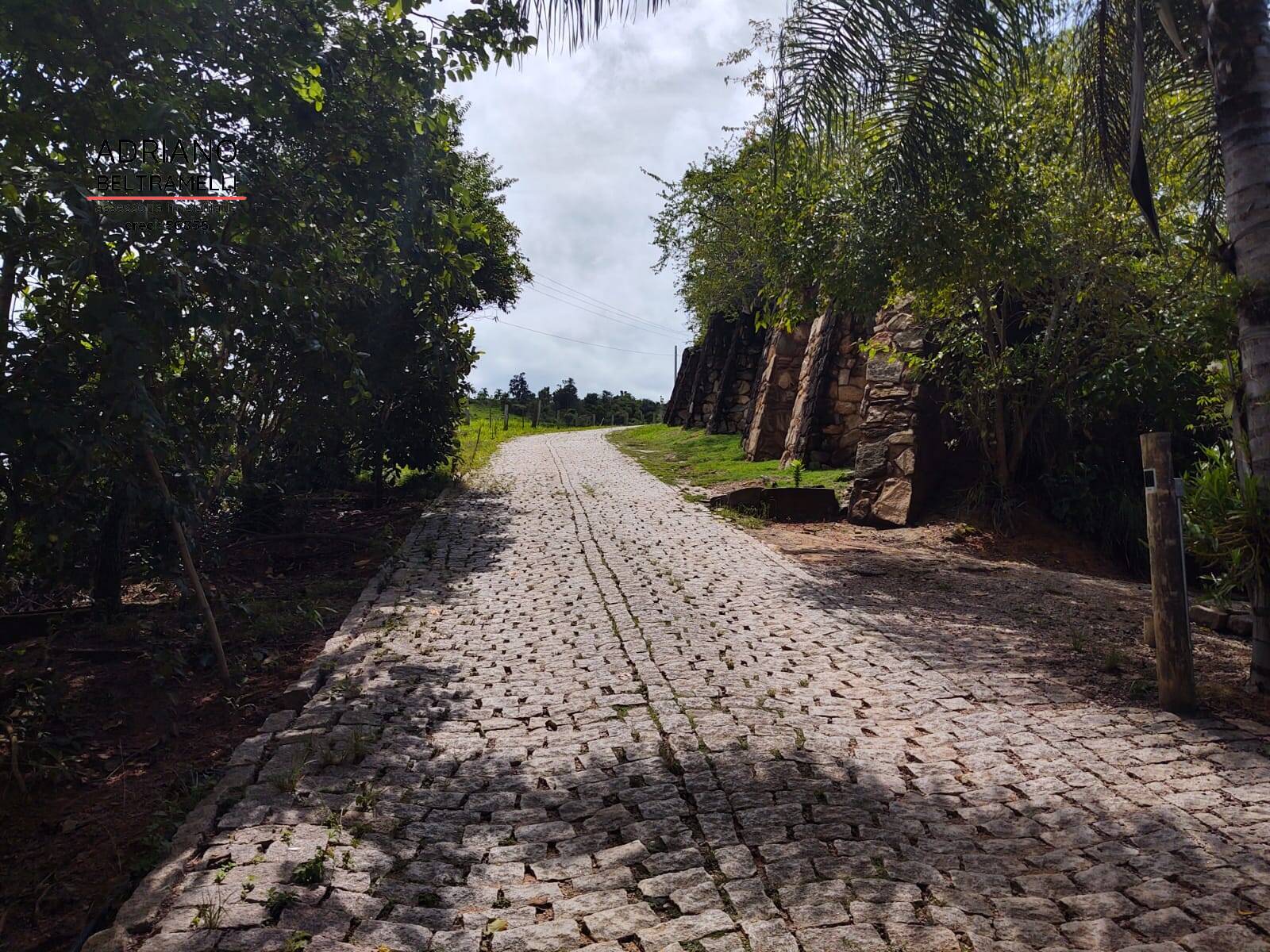 Terreno, 2 hectares - Foto 2