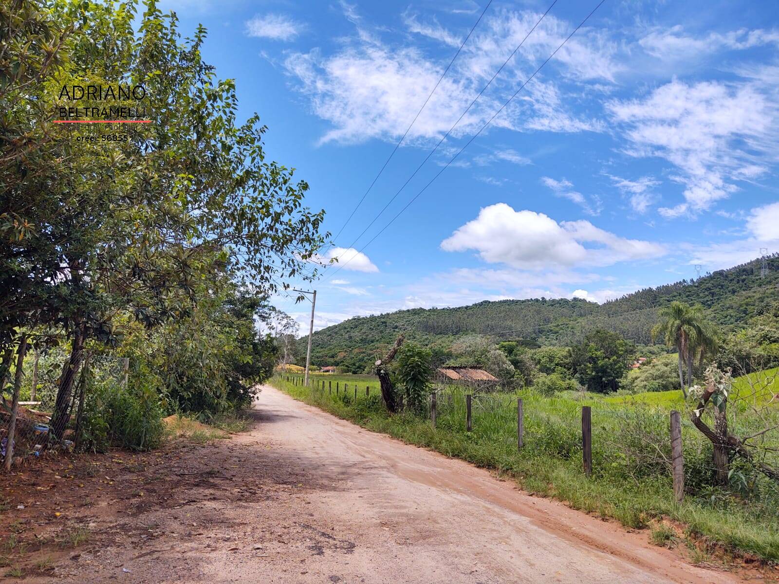 Terreno, 2 hectares - Foto 14