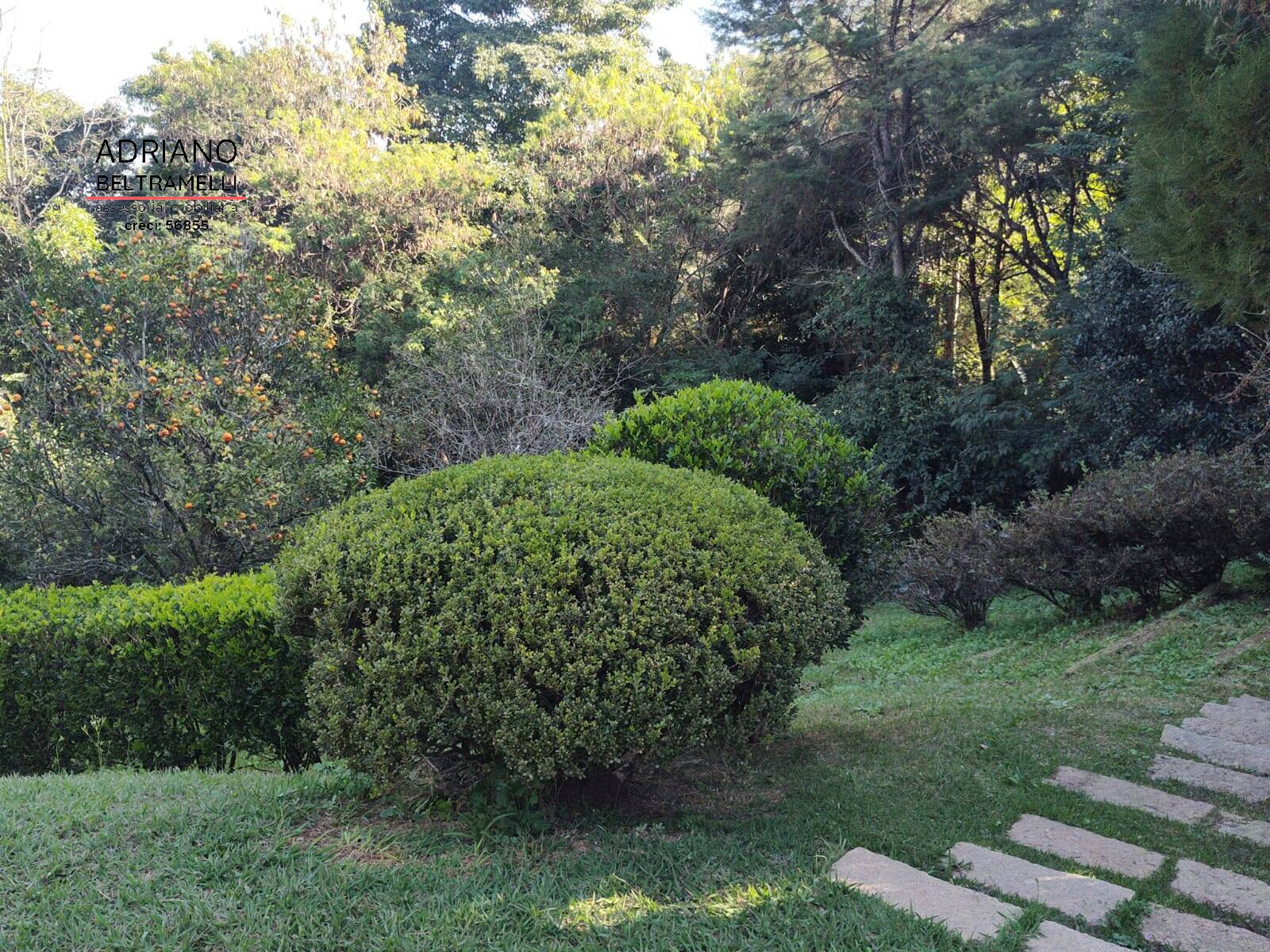Terreno à venda, 4000m² - Foto 9