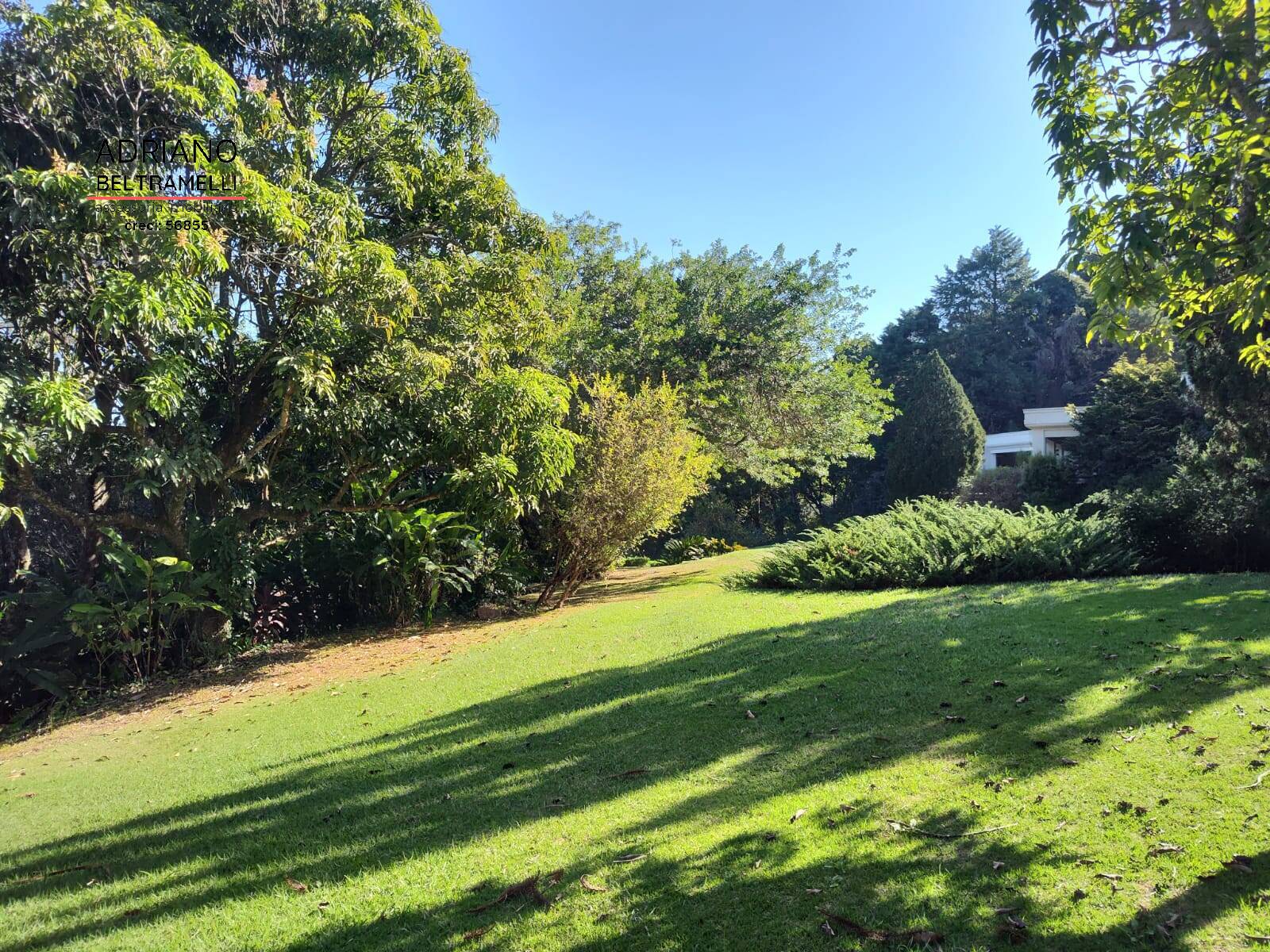 Terreno à venda, 4000m² - Foto 19