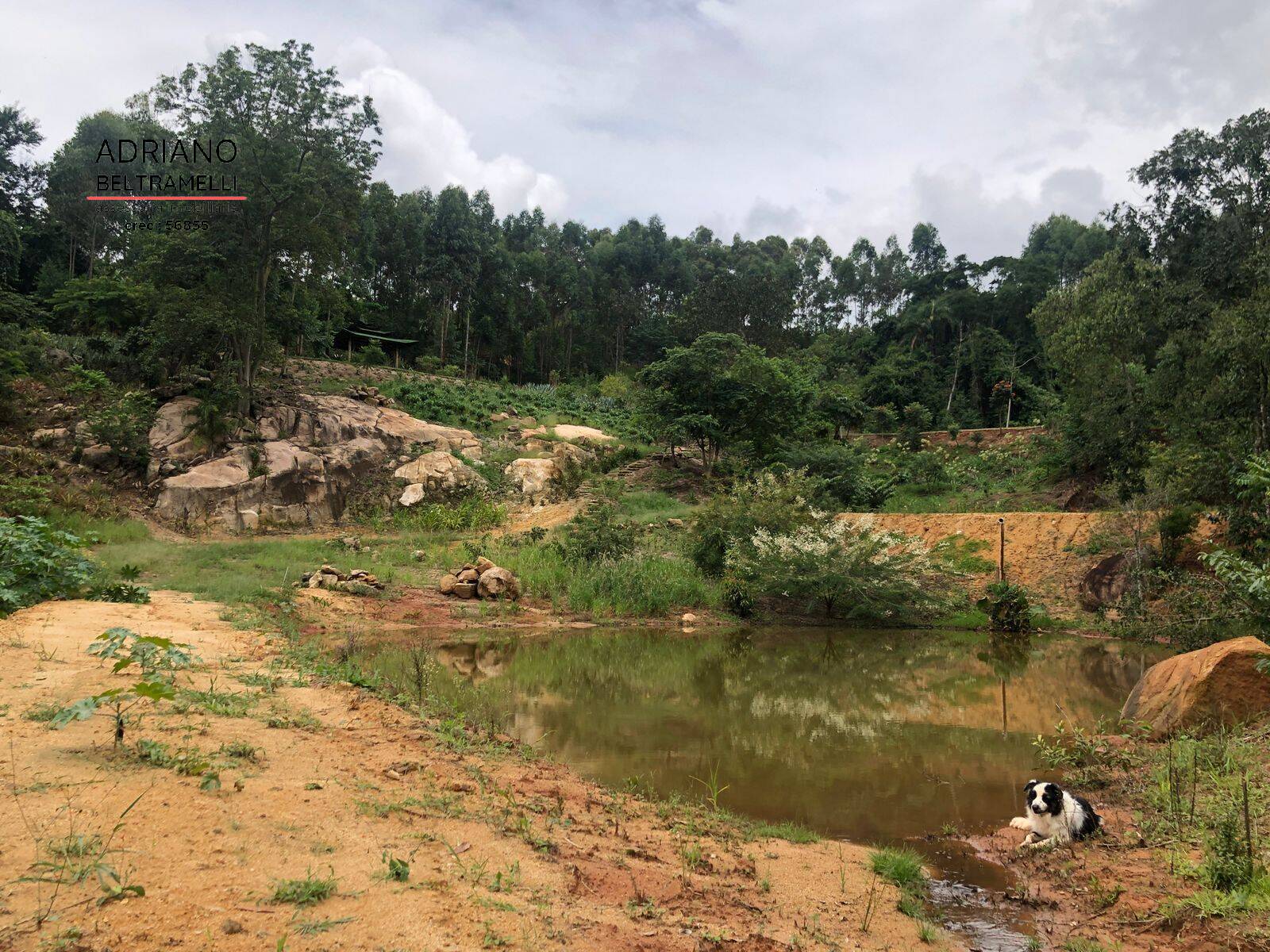 Sítio, 5 quartos, 10 hectares - Foto 28