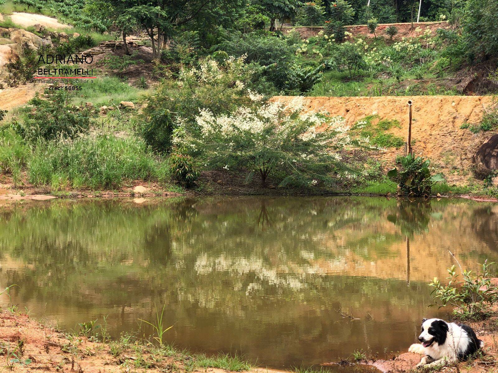 Sítio, 5 quartos, 10 hectares - Foto 27