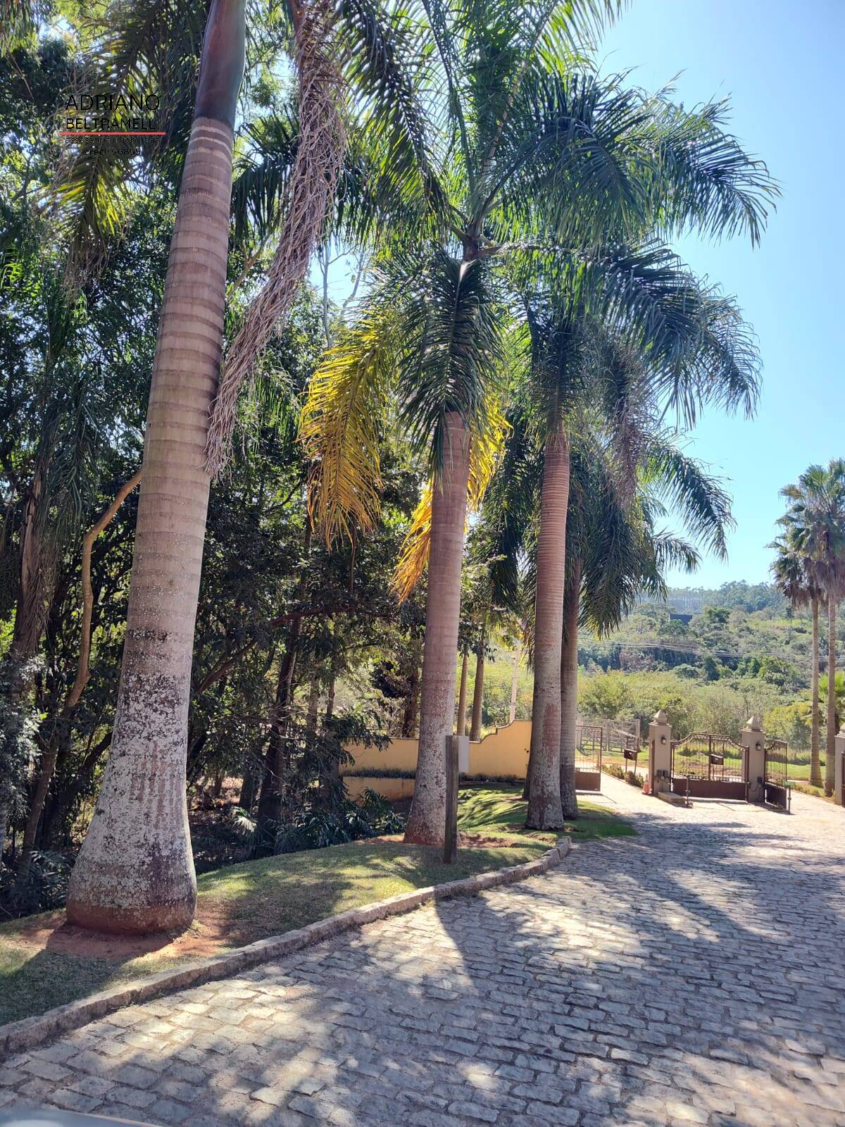 Terreno, 2 hectares - Foto 6