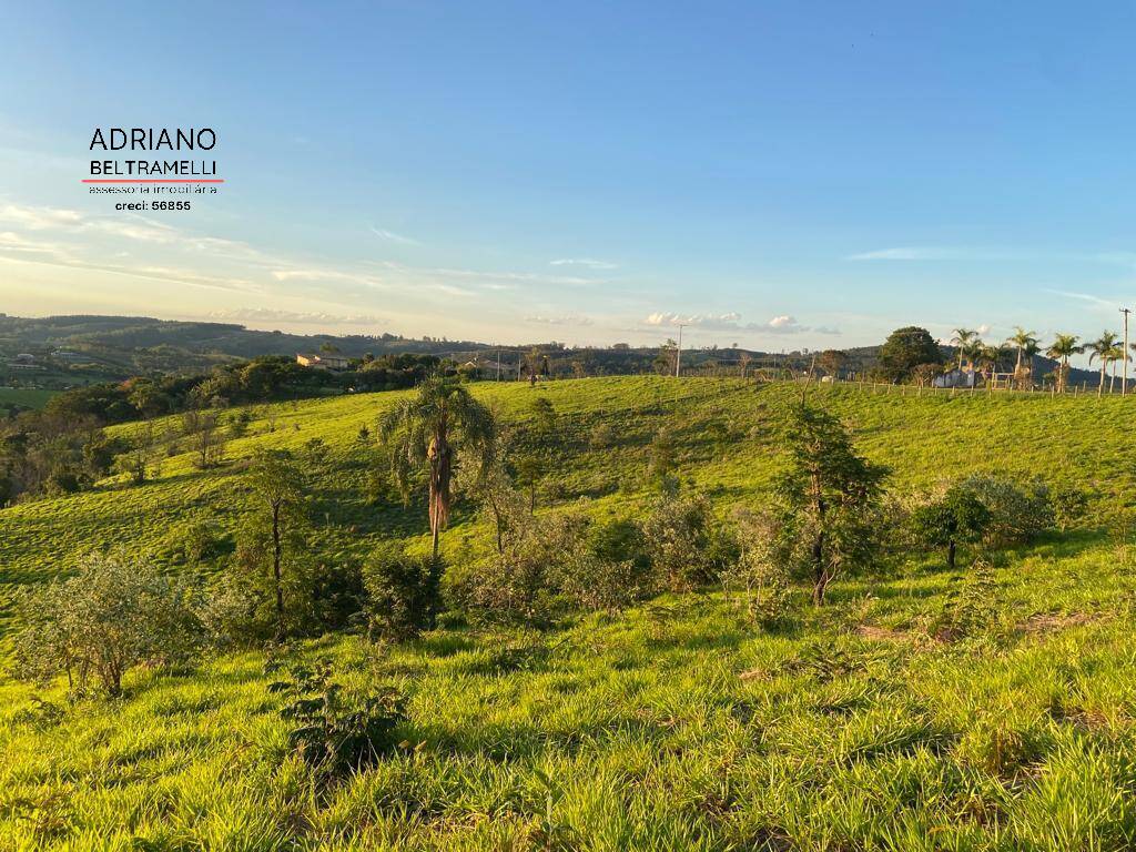 Terreno, 2 hectares - Foto 15