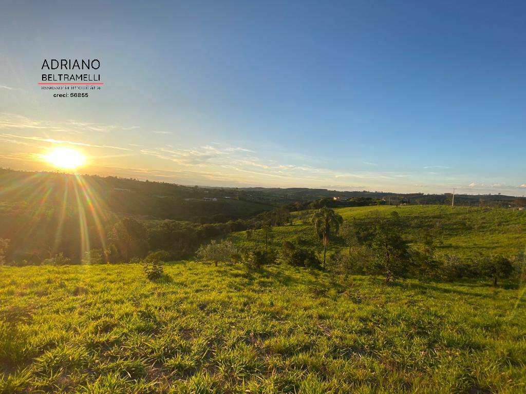 Terreno, 2 hectares - Foto 18