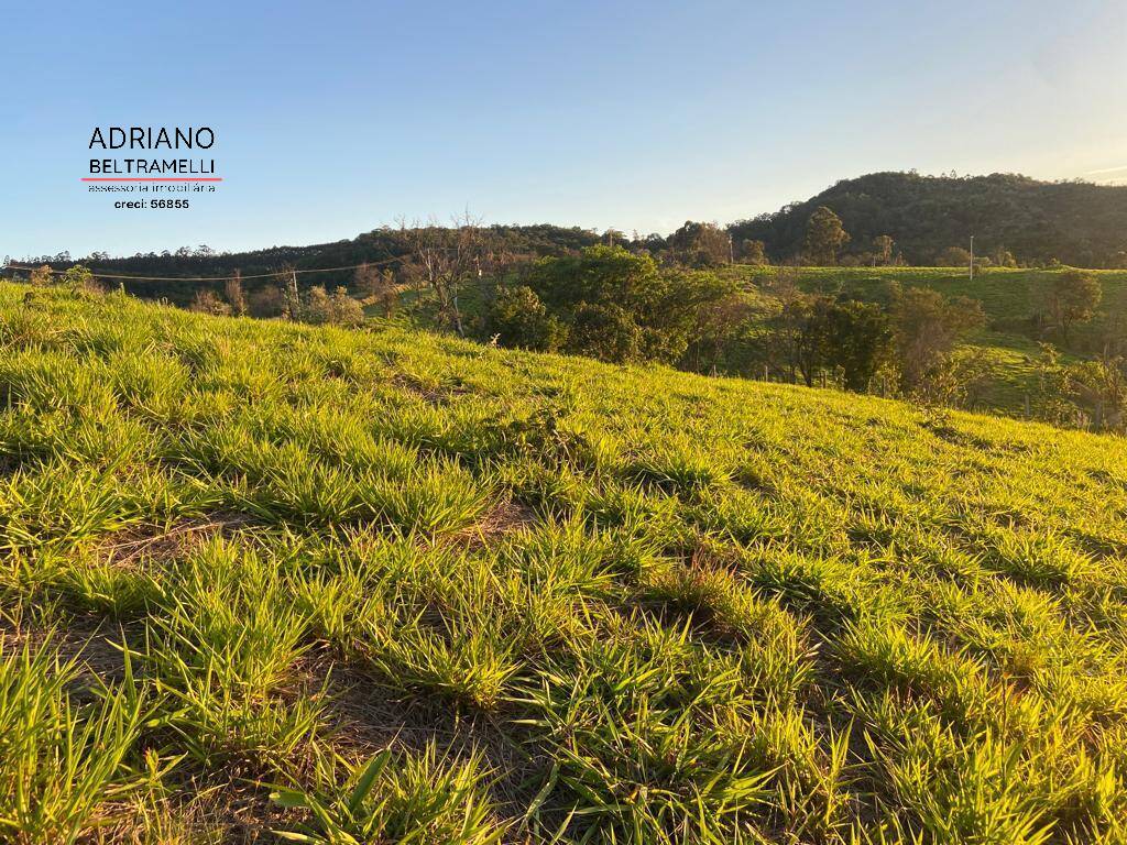 Terreno, 2 hectares - Foto 19