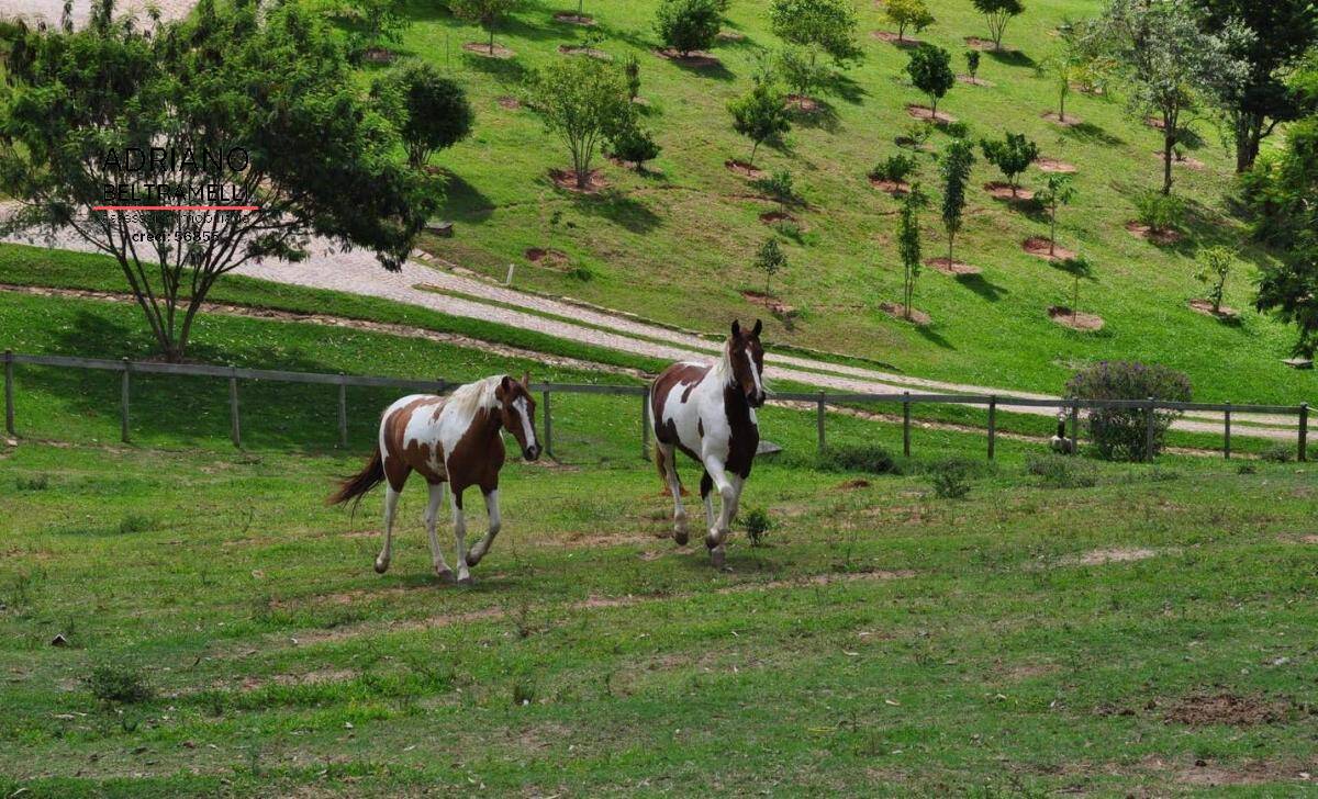 Sítio, 5 quartos, 3 hectares - Foto 64
