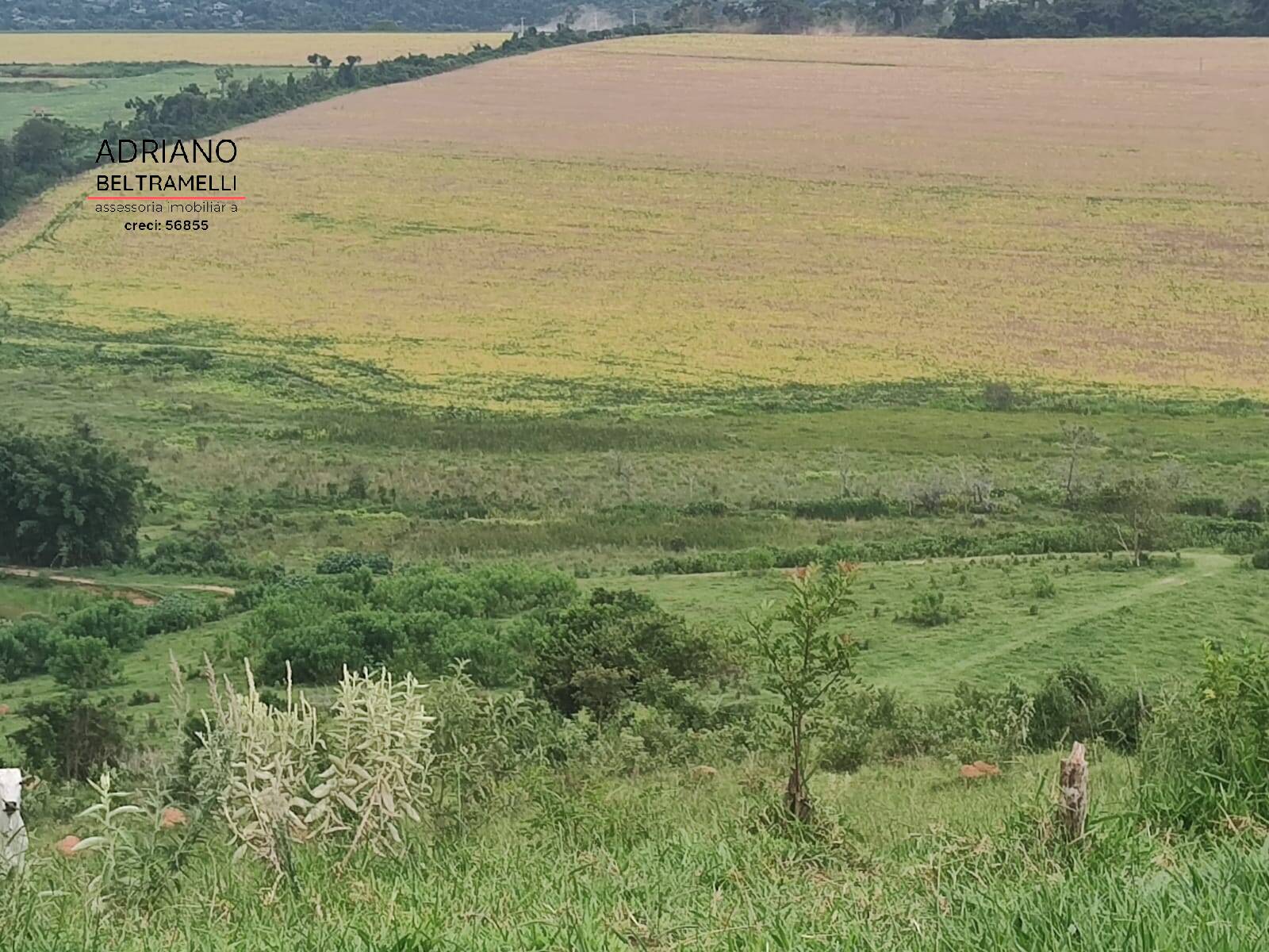 Fazenda à venda com 6 quartos, 1500m² - Foto 2