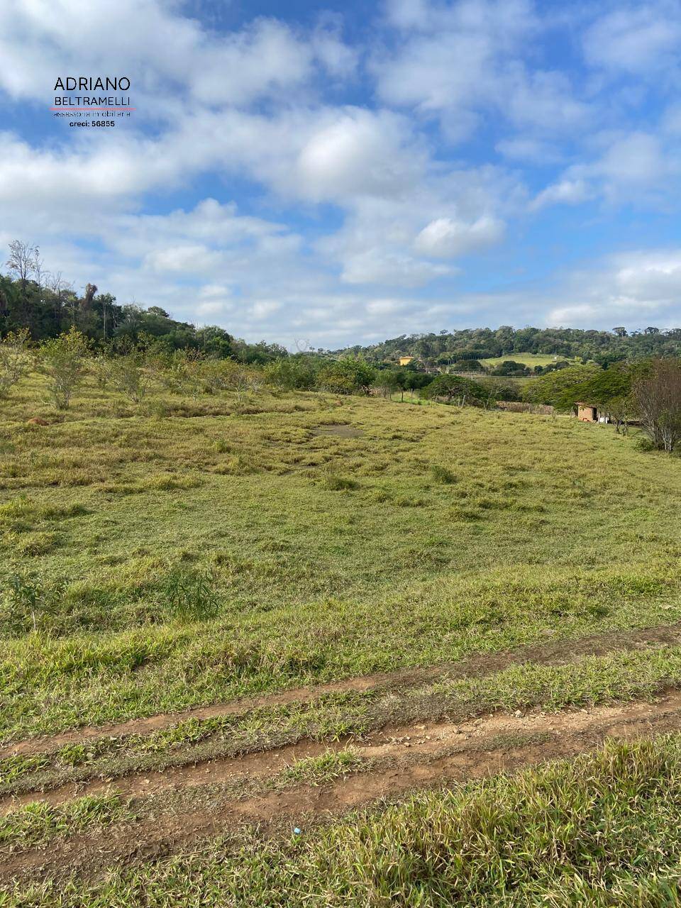 Terreno, 11 hectares - Foto 2