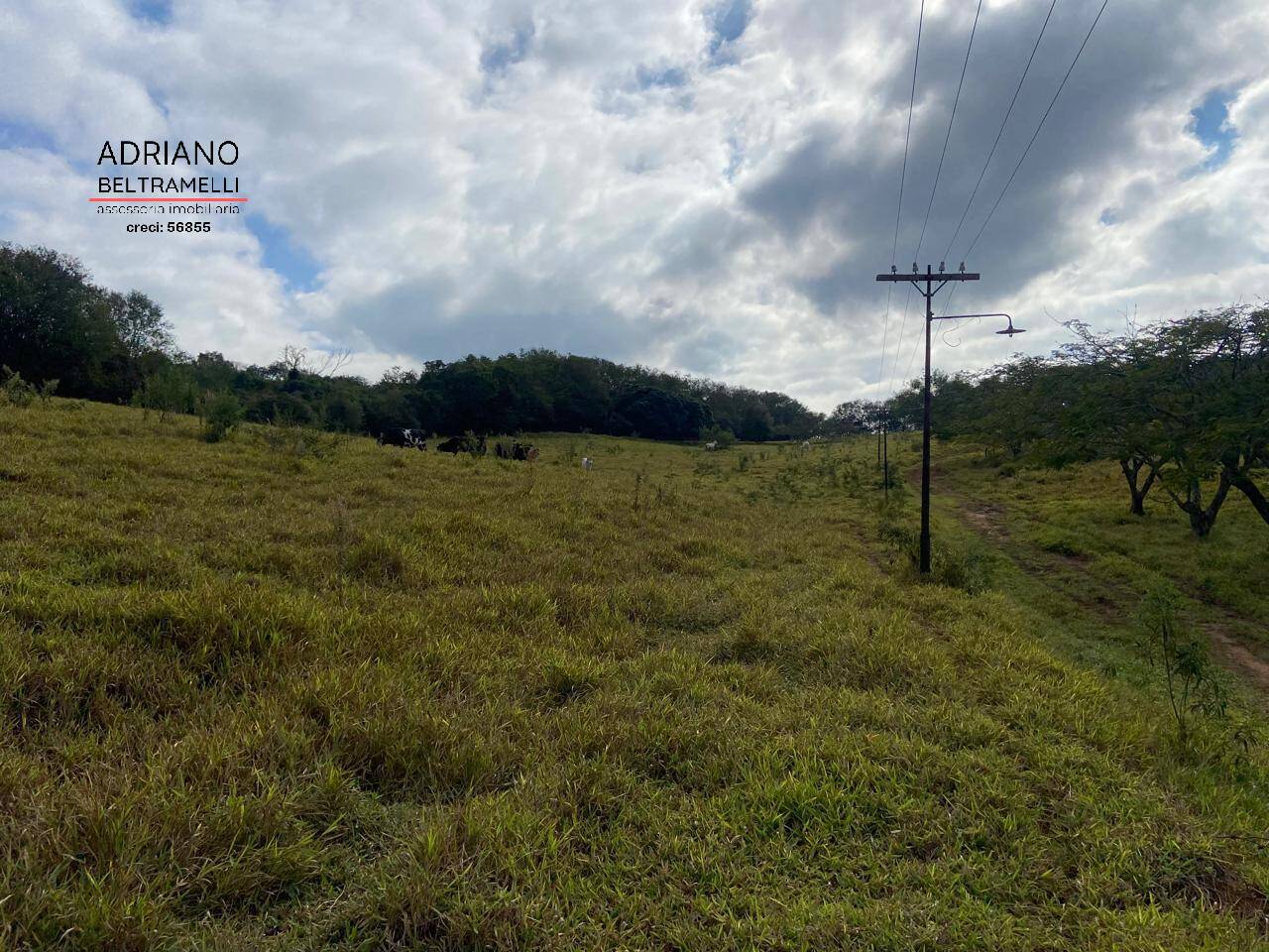 Terreno, 11 hectares - Foto 4