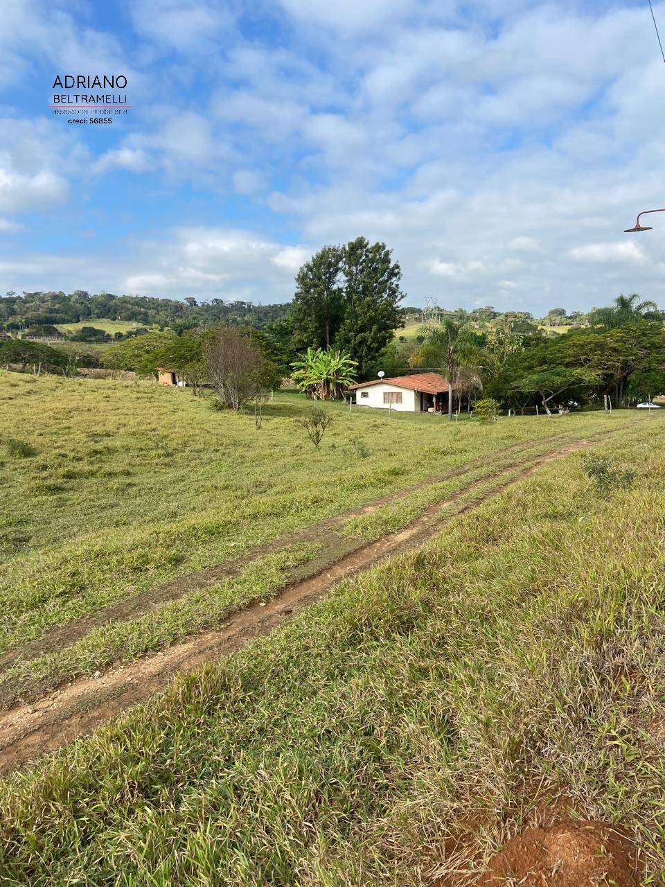 Terreno, 11 hectares - Foto 3