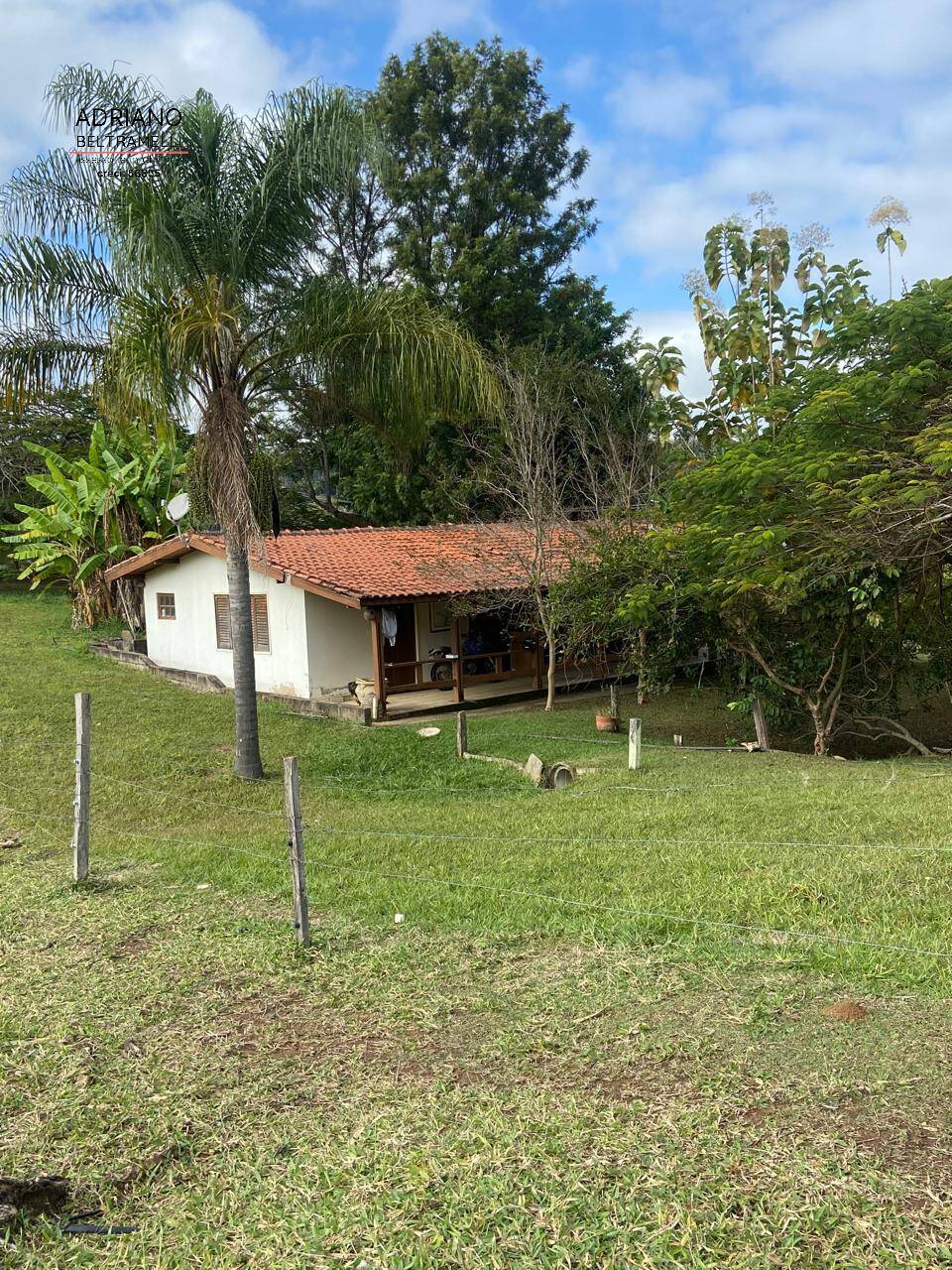 Terreno, 11 hectares - Foto 5