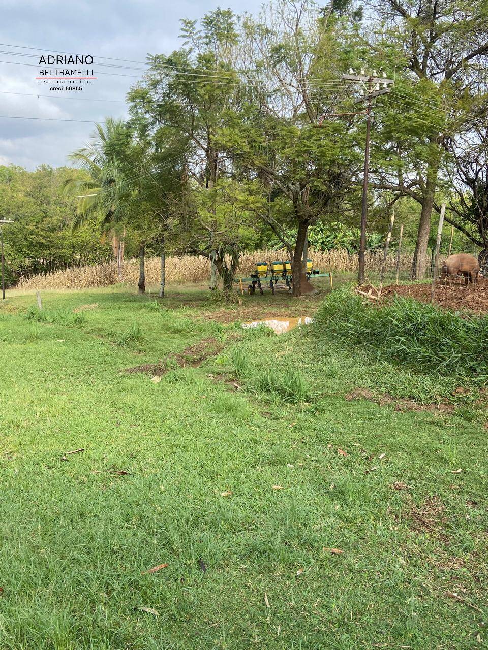 Terreno, 11 hectares - Foto 8