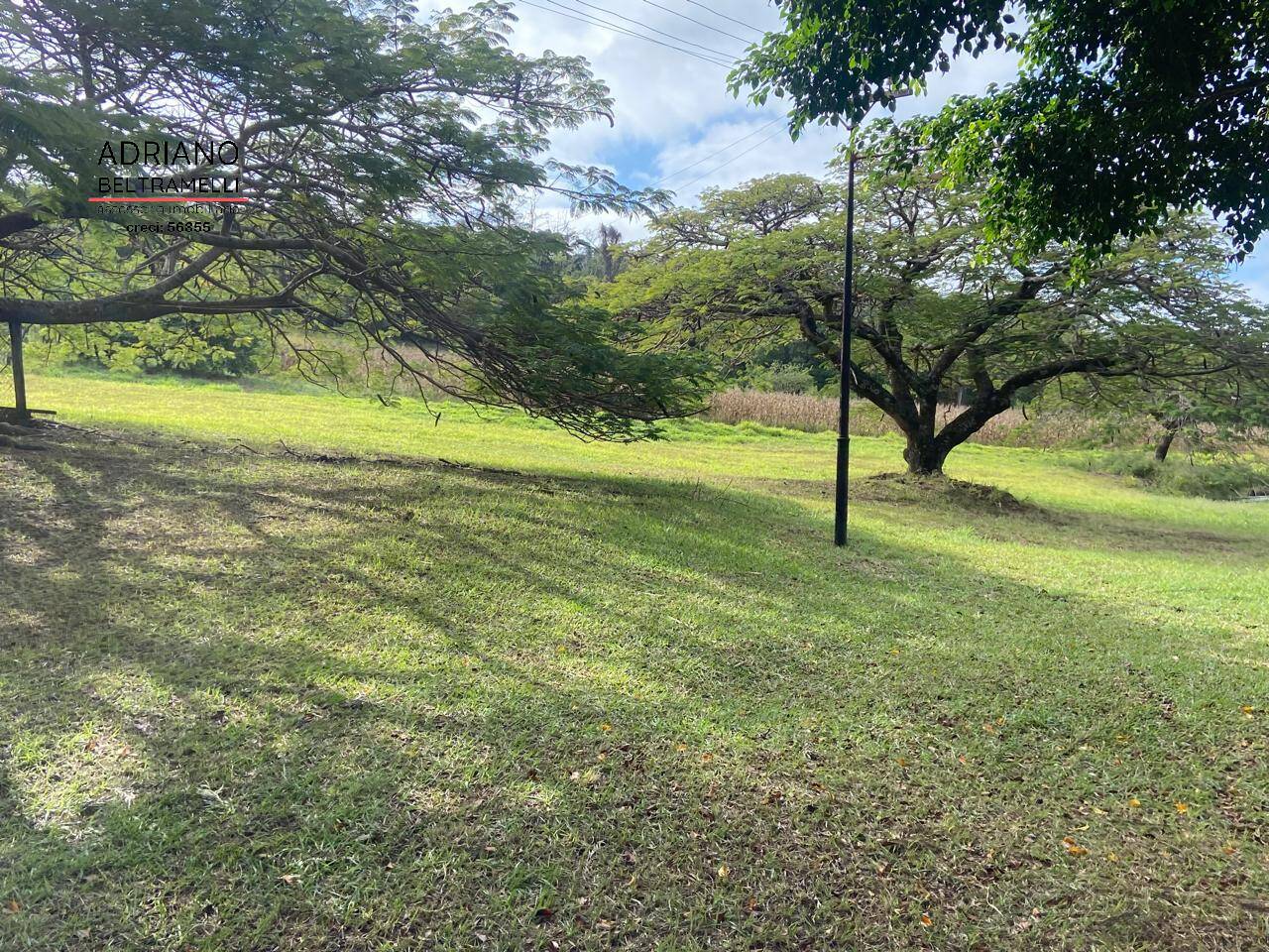 Terreno, 11 hectares - Foto 10