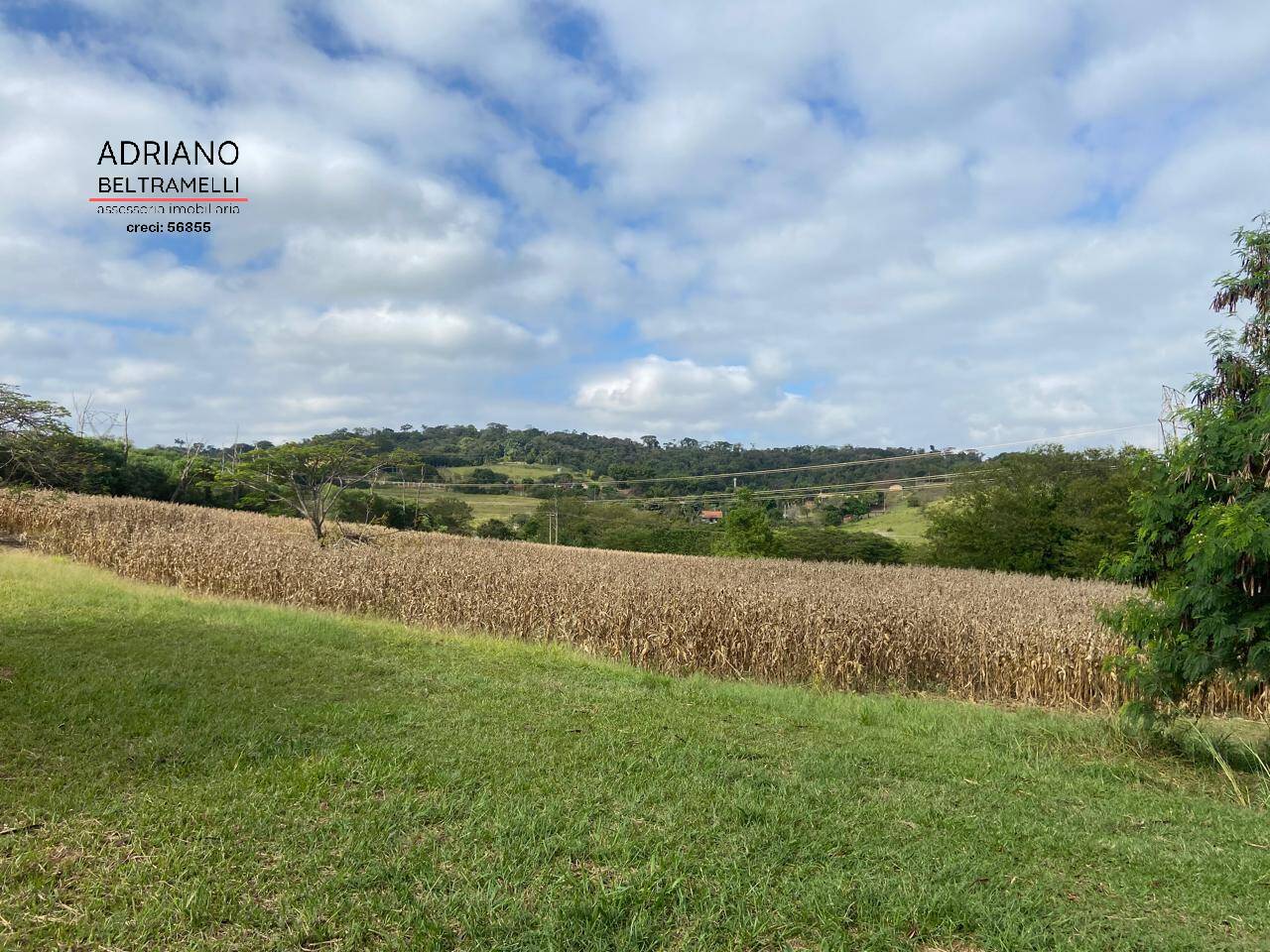 Terreno, 11 hectares - Foto 11