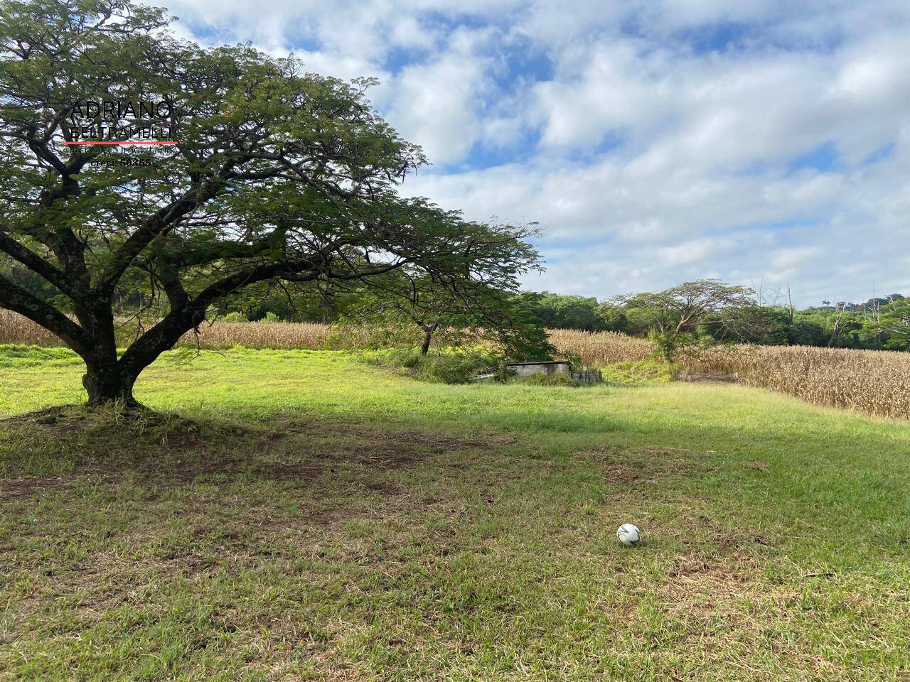 Terreno, 11 hectares - Foto 12