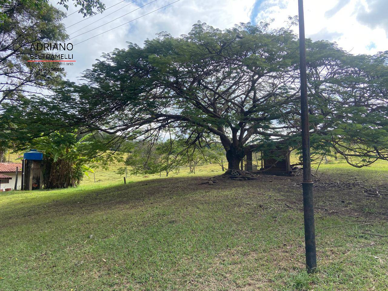 Terreno, 11 hectares - Foto 14