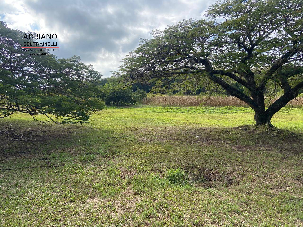 Terreno, 11 hectares - Foto 13