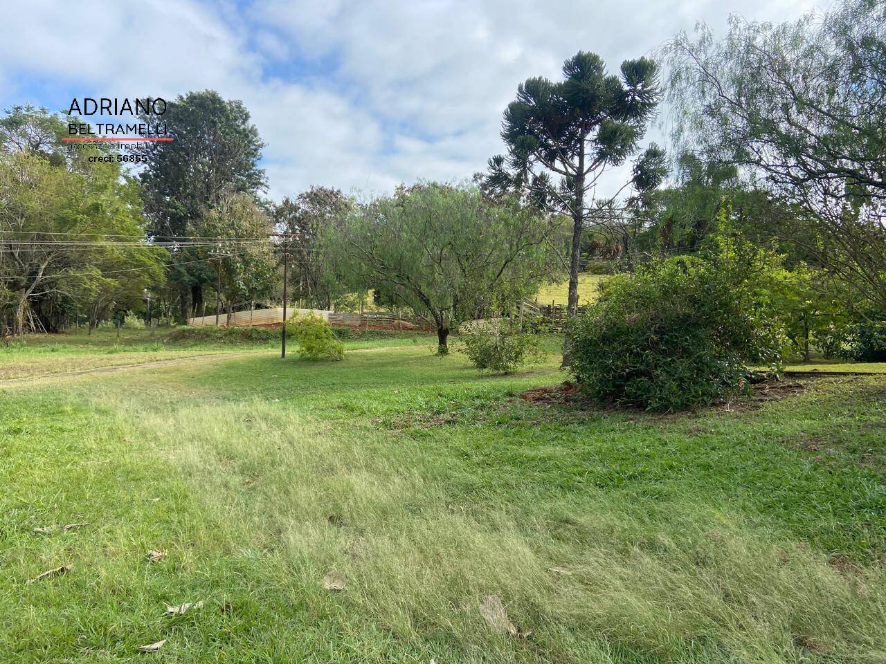 Terreno, 11 hectares - Foto 17