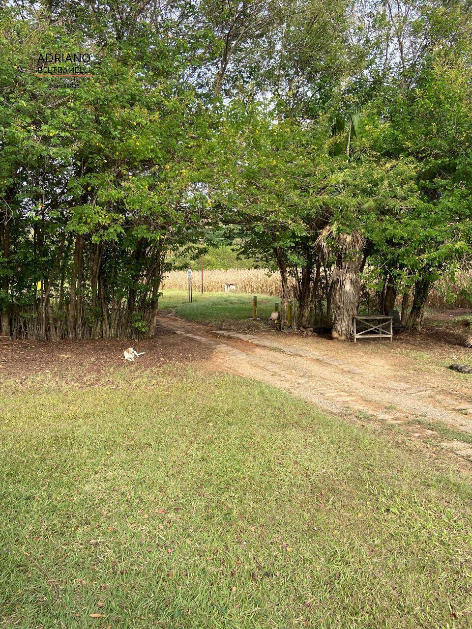 Terreno, 11 hectares - Foto 18