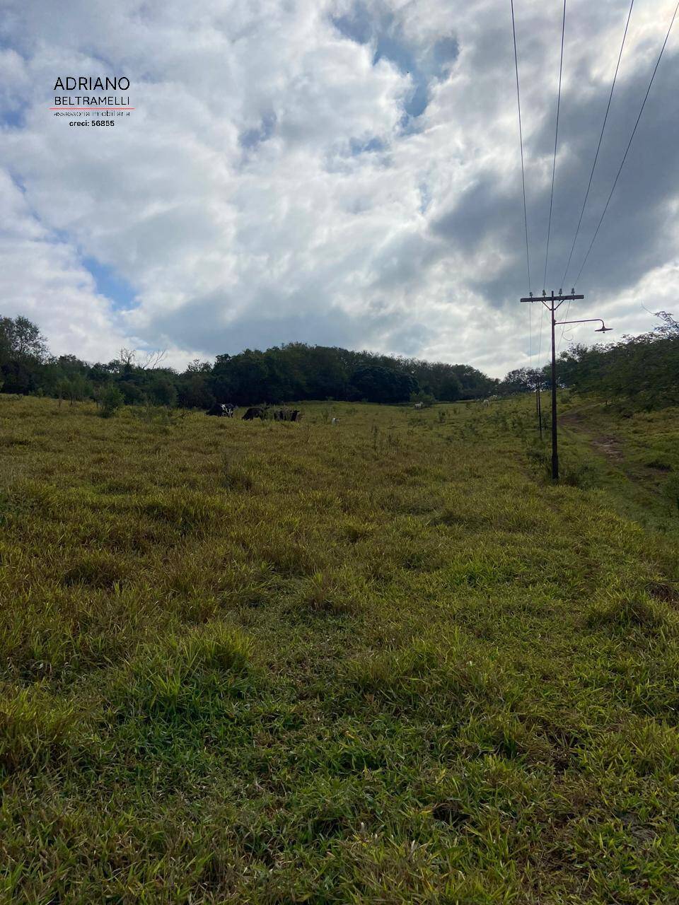 Terreno, 11 hectares - Foto 21