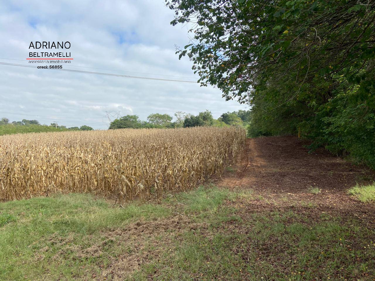 Terreno, 11 hectares - Foto 19