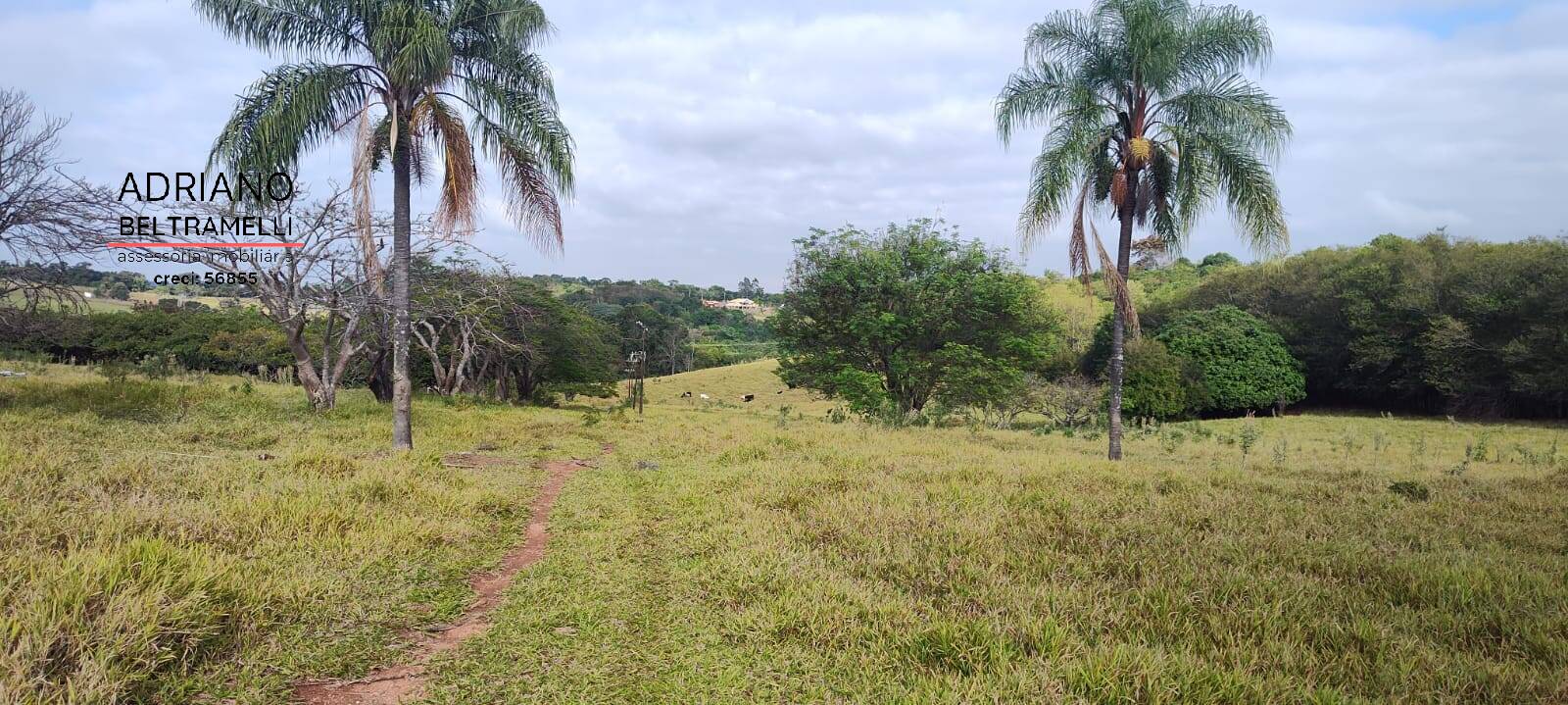 Terreno, 11 hectares - Foto 22