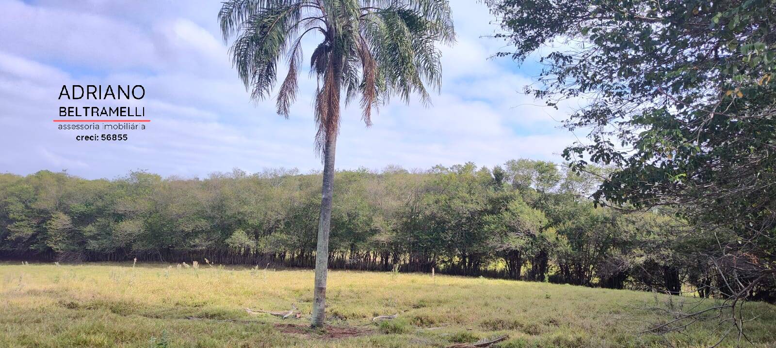 Terreno, 11 hectares - Foto 24