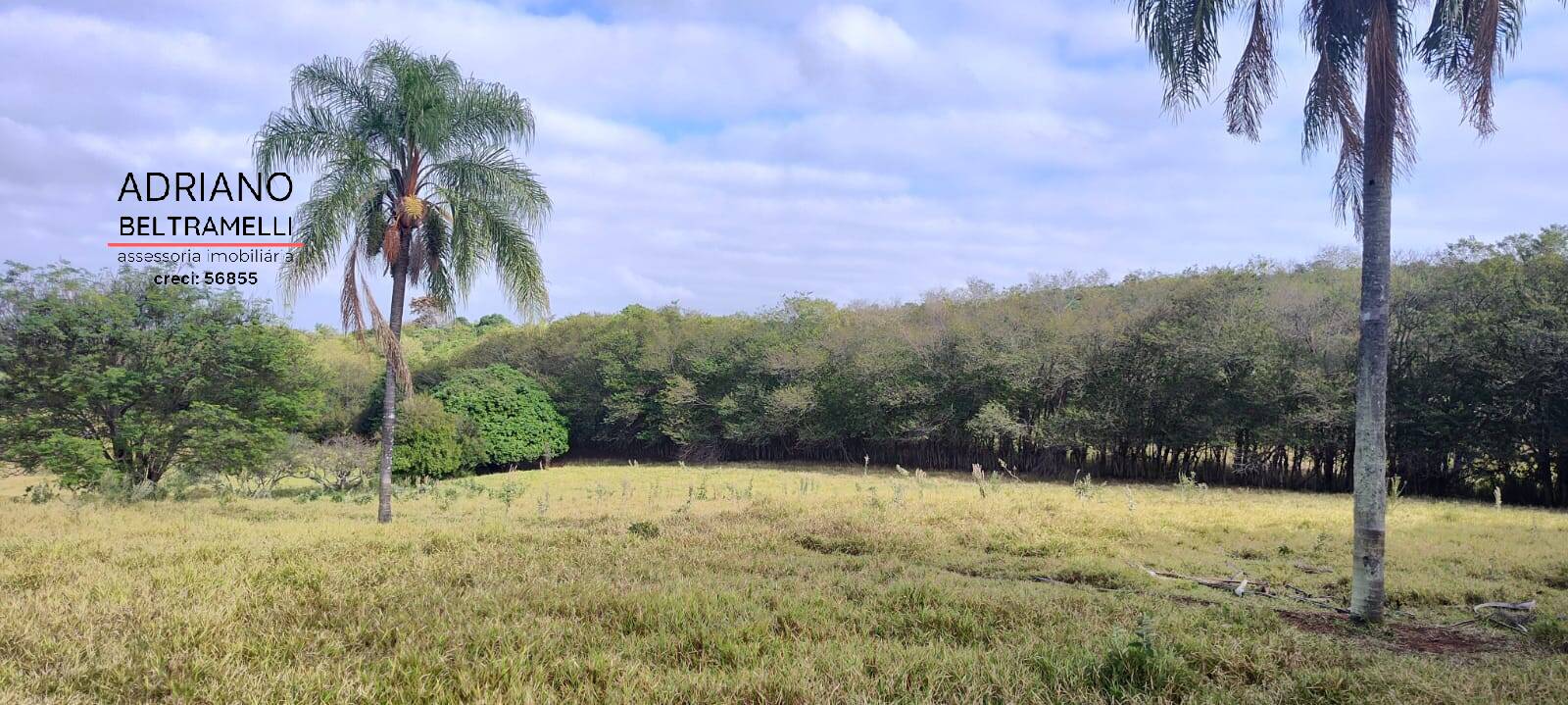 Terreno, 11 hectares - Foto 23