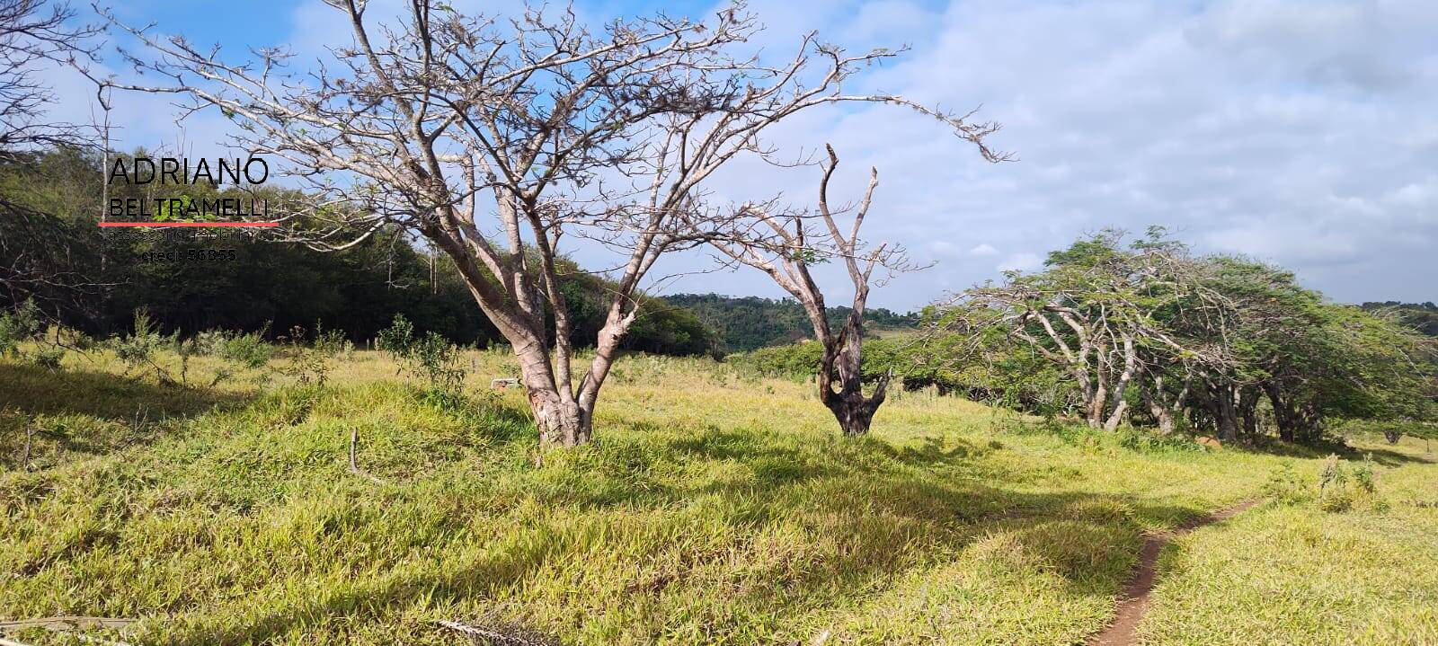 Terreno, 11 hectares - Foto 25