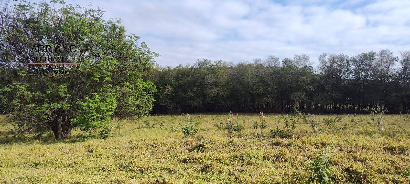 Terreno, 11 hectares - Foto 26