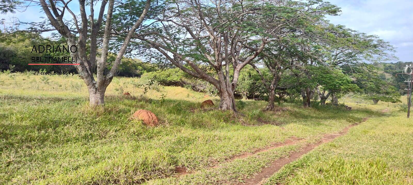 Terreno, 11 hectares - Foto 27