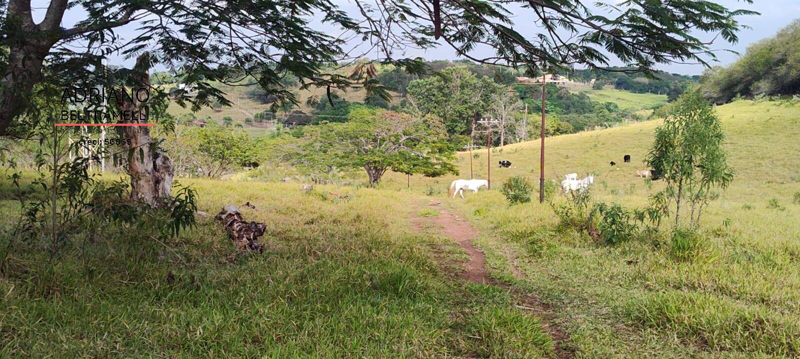 Terreno, 11 hectares - Foto 29