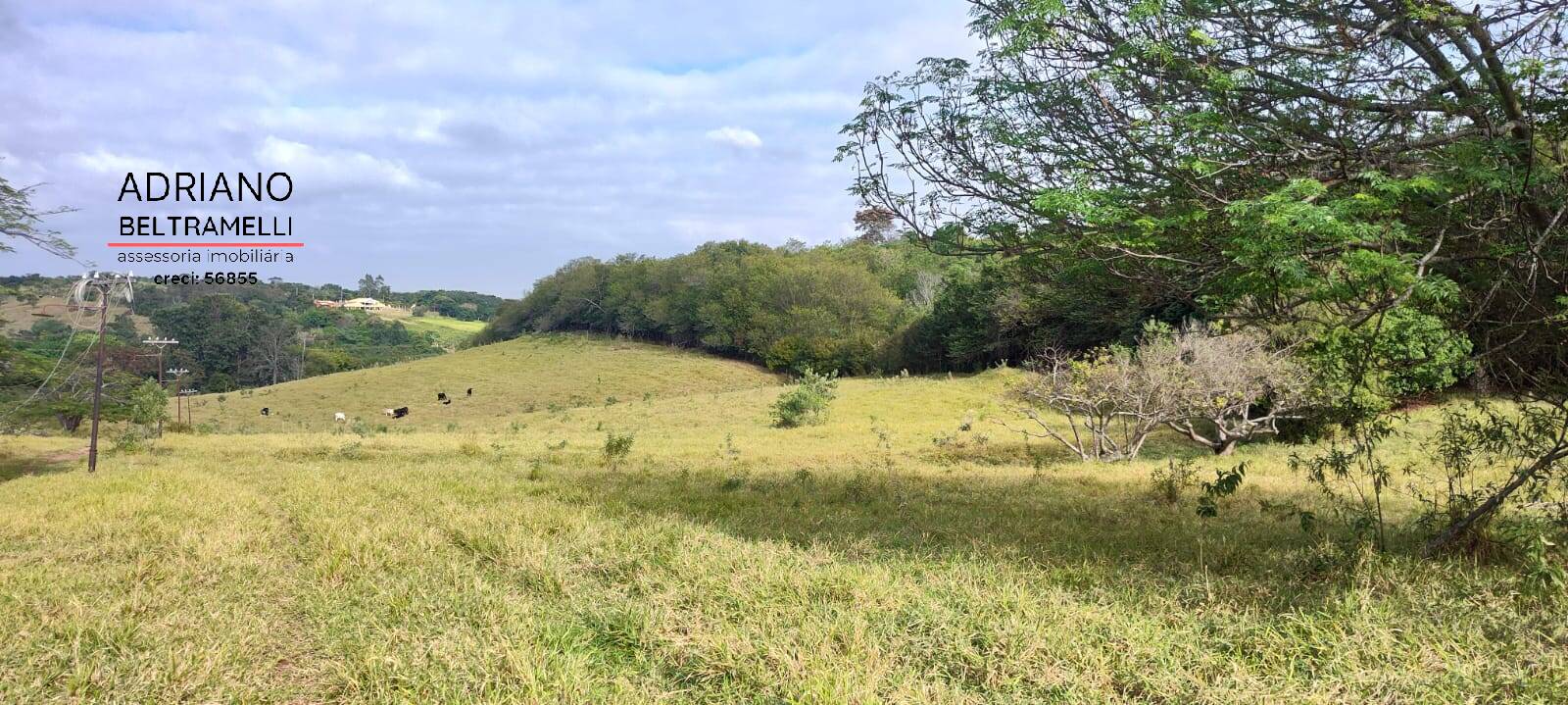 Terreno, 11 hectares - Foto 28