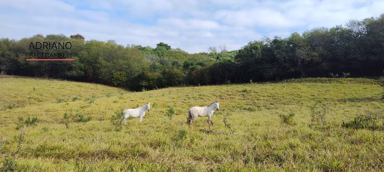 Terreno, 11 hectares - Foto 33