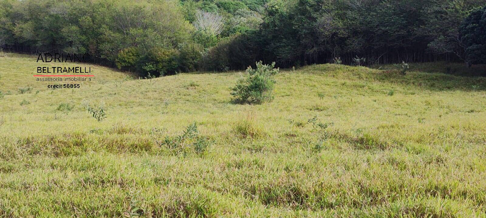 Terreno, 11 hectares - Foto 30