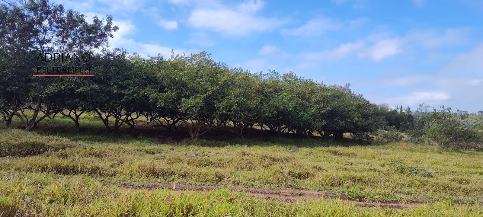 Terreno, 11 hectares - Foto 32